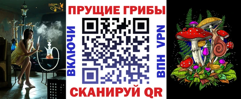 Псилоцибиновые грибы Magic Shrooms  как найти закладки  OMG рабочий сайт  darknet телеграм  Грязовец 