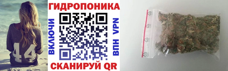 Каннабис OG Kush  MEGA ссылки  Грязовец  купить наркоту 